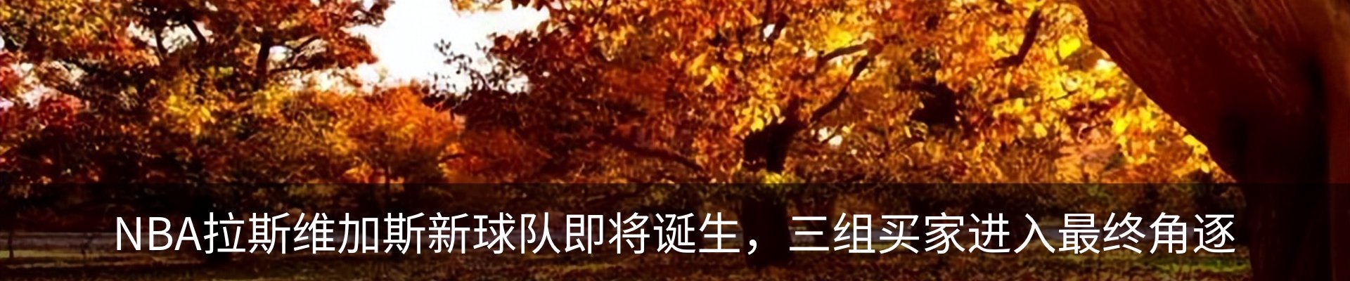新闻中心
